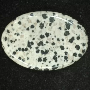 Dalmation Jasper Cabochon #1 For Sale