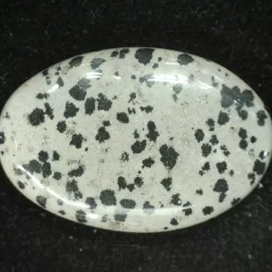 Dalmation Jasper Cabochon #2 For Sale