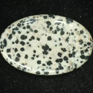 Dalmation Jasper Cabochon #3 For Sale