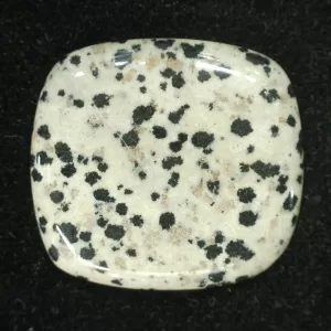 Dalmation Jasper Cabochon #5 For Sale