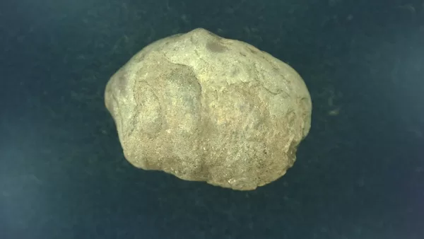 Genuine Permian Age Reptile Coprolite Fossil for Sale from Texas #12