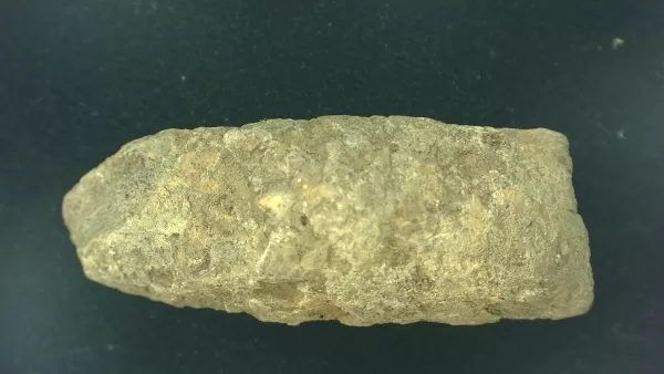 Genuine Permian Age Reptile Coprolite Fossil for Sale from Texas #1a