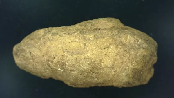 Genuine Permian Age Reptile Coprolite Fossil for Sale from Texas #3