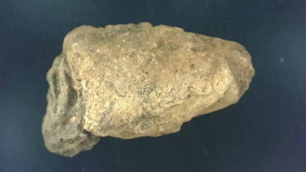 Genuine Permian Age Reptile Coprolite Fossil for Sale from Texas #4