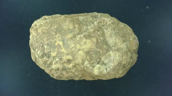 Genuine Permian Age Reptile Coprolite Fossil for Sale from Texas #6