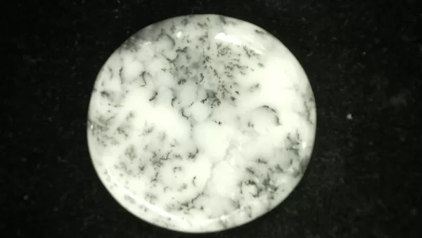 Genuine Dendritic Agate Cabochon #3 For Sale