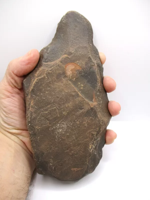 Genuine Paleolithic Hand Tool for Sale #6d