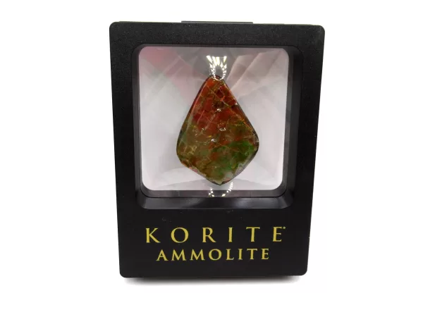 Genuine Cretaceous Age Gem Ammolite Ammonite Shell Specimen From Canada For Sale #4d