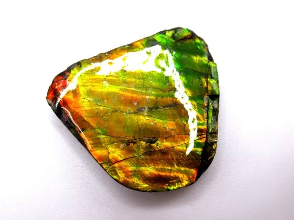 Genuine Cretaceous Age Gem Ammolite Ammonite Shell Specimen From Canada For Sale #8a