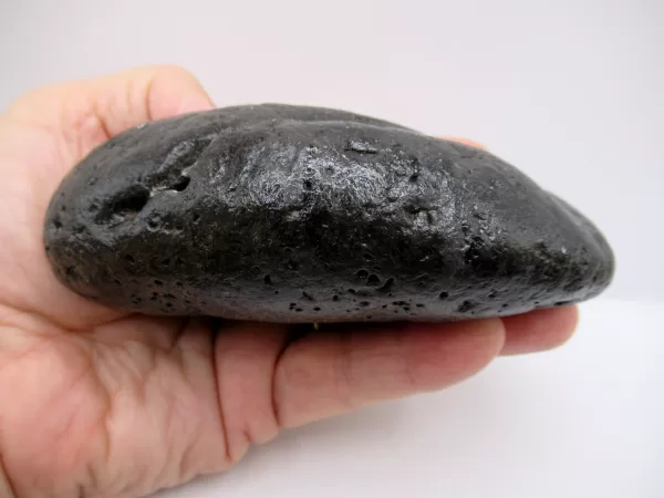 Genuine Miocene Age Megalodon Shark Coprolite Fossil for Sale from South Carolina #21a