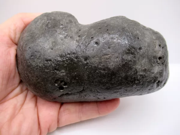 Genuine Miocene Age Megalodon Shark Coprolite Fossil for Sale from South Carolina #27