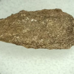 Genuine Permian Age Reptile Coprolite Fossil for Sale from Texas #44