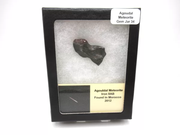 Genuine Agoudal Meteorite in Gem Jar For Sale #34