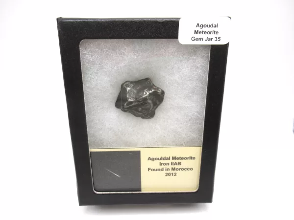 Genuine Agoudal Meteorite in Gem Jar For Sale #35