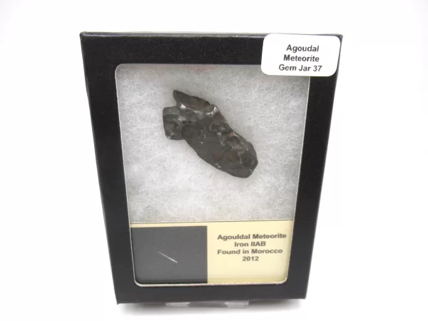 Genuine Agoudal Meteorite in Gem Jar For Sale #37