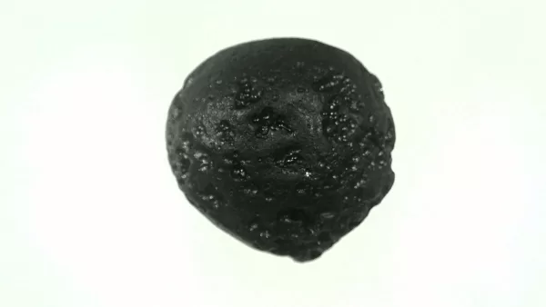 Genuine Black Tibetan Tektite For Sale from Asia #35