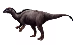 Camptosaurus Jurassic Dinosaur