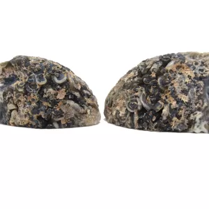 Genuine Jurassic Age Brazilian Geode Pair For Sale from Brazil #20