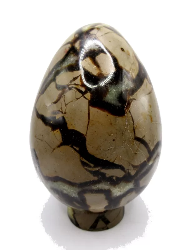 Genuine Jurassic Age Polished Septarian Egg Mineral For Sale from Madagascar #1b