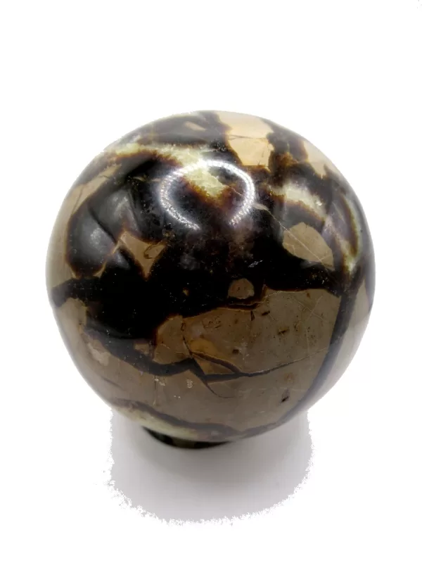 Genuine Jurassic Age Polished Septarian Egg Mineral For Sale from Madagascar #1c