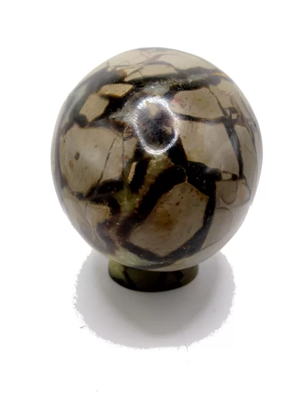 Genuine Jurassic Age Polished Septarian Egg Mineral For Sale from Madagascar #1d