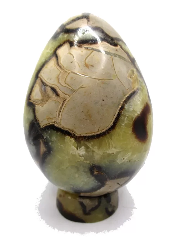 Genuine Jurassic Age Polished Septarian Egg Mineral For Sale from Madagascar #2a