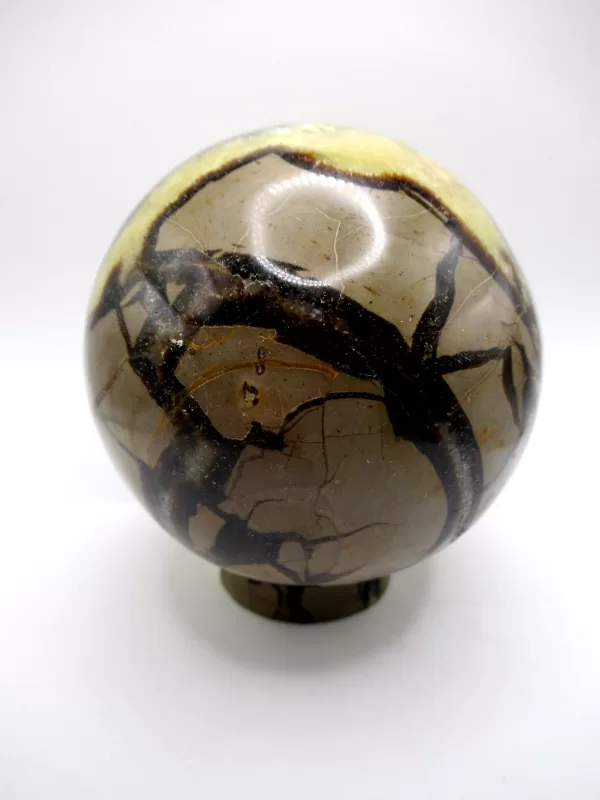 Genuine Jurassic Age Polished Septarian Egg Mineral For Sale from Madagascar #3c