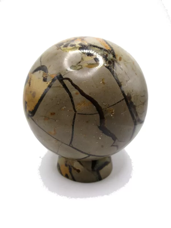 Genuine Jurassic Age Polished Septarian Egg Mineral For Sale from Madagascar #5c