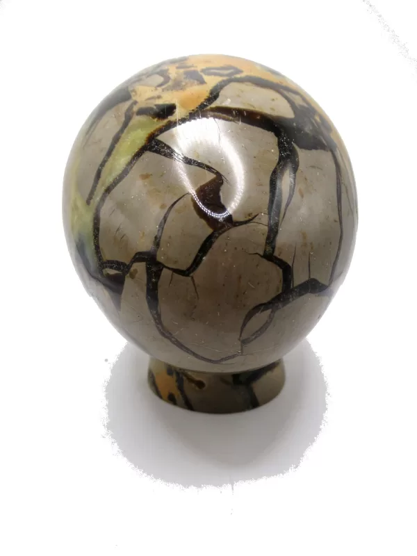 Genuine Jurassic Age Polished Septarian Egg Mineral For Sale from Madagascar #5d