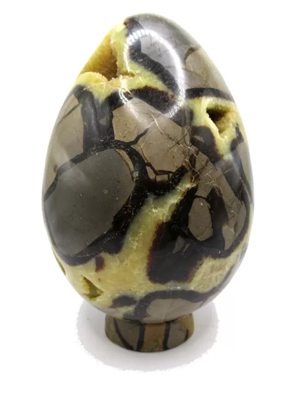 Genuine Jurassic Age Polished Septarian Egg Mineral For Sale from Madagascar #6