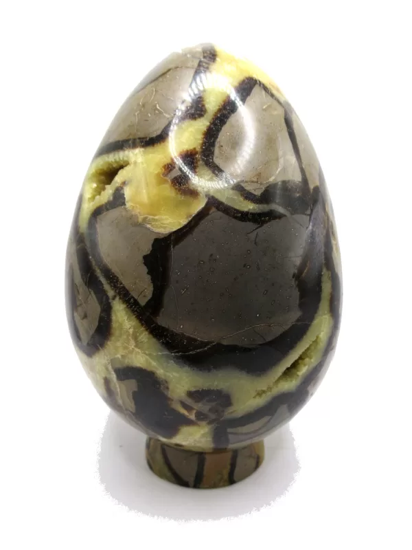 Genuine Jurassic Age Polished Septarian Egg Mineral For Sale from Madagascar #6a