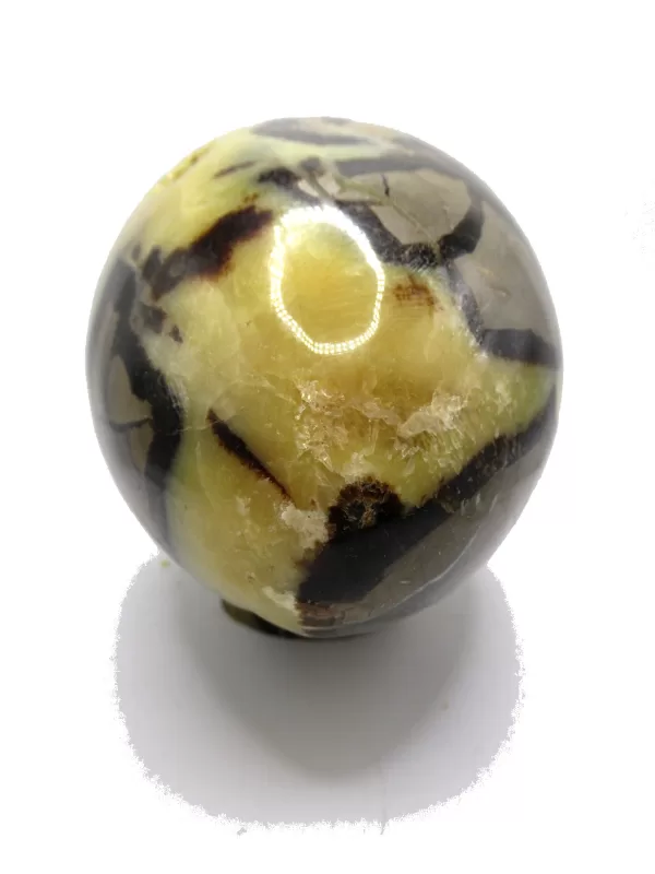 Genuine Jurassic Age Polished Septarian Egg Mineral For Sale from Madagascar #6d