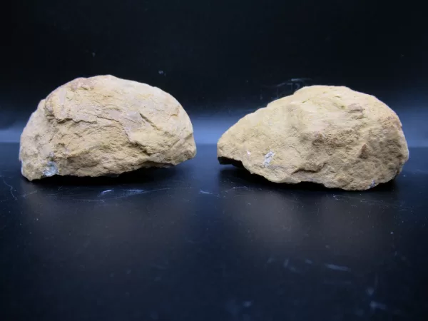 Genuine Mississippian Age Geode Pair For Sale From Keokuk, Iowa #12