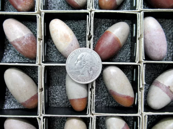 Genuine Shiva Lingam Metaphysical Stones a For Sale