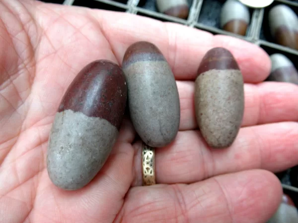 Genuine Shiva Lingam Metaphysical Stones b For Sale