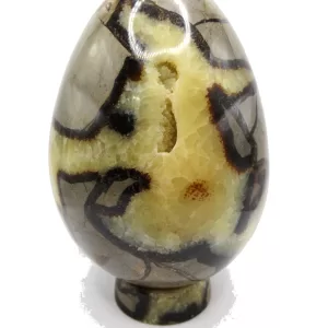 Genuine Jurassic Age Polished Septarian Egg Mineral For Sale from Madagascar #4