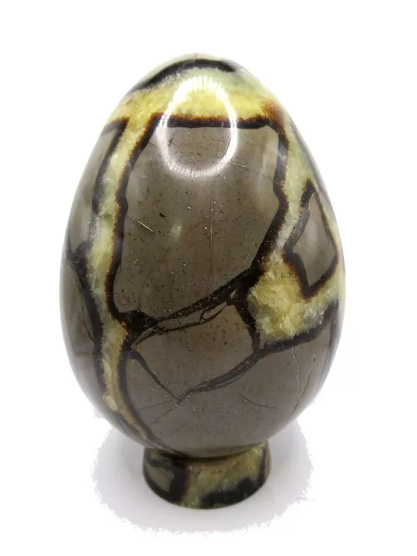 Genuine Jurassic Age Polished Septarian Egg Mineral For Sale from Madagascar #4b